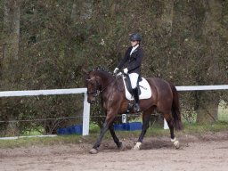IMG_7922_web
